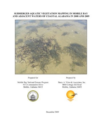 Submerged Aquatic Vegetation Mapping of Mobile Bay Alabama