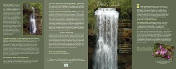 Virgin Falls Brochure - Tennessee Parks and Greenways Foundation