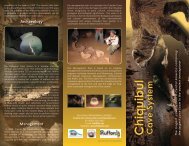 Chiquibul Cave System - The Rufford Small Grants Foundation