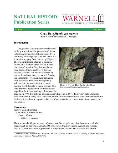 NATURAL HISTORY Publication Series - Warnell School of Forest ...