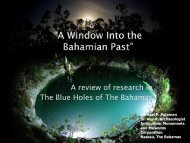 A review of research in The Blue Holes