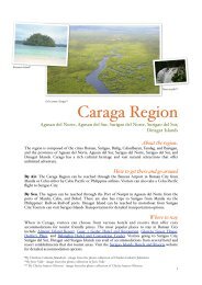 Caraga Region - DFA