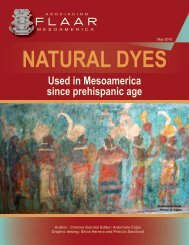 Natural dyes - Maya Archaeology
