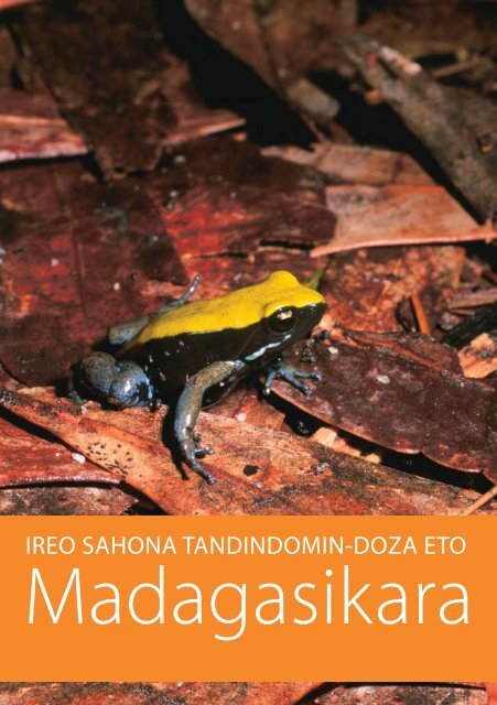 Frog Booklet - Malagasy Version - Madagascar Fauna Group