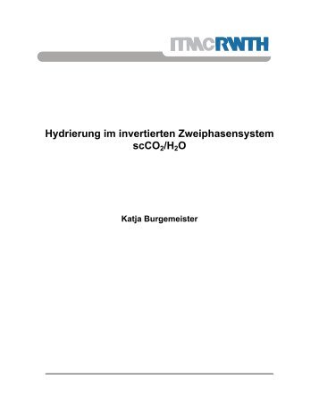 Hydrierung im invertierten Zweiphasensystem scCO2/H2O