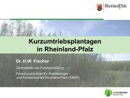 Kurzumtriebsplantagen in Rheinland-Pfalz