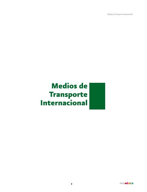 MediosDeTransporteInternacional