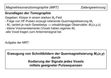 Magnetresonanztomographie (MRT) Datengewinnung Grundlagen ...