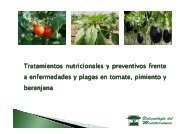 Tratamiento del tomate, el pimiento y la berenjena - Biotecme.com