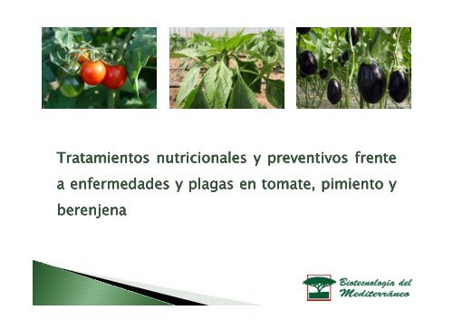 Tratamiento del tomate, el pimiento y la berenjena - Biotecme.com