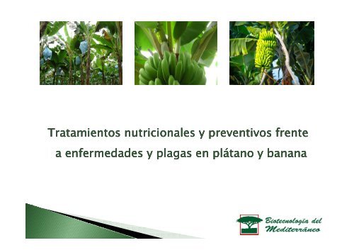 Tratamiento del plátano y la banana - Biotecme.com