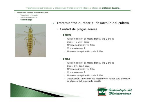 Tratamiento del plátano y la banana - Biotecme.com