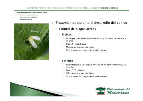 Tratamiento del plátano y la banana - Biotecme.com