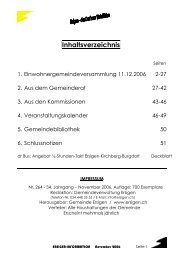 Gemeinderatsspezifische Informationen - Ersigen