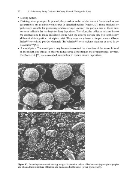 Drug Targeting Organ-Specific Strategies