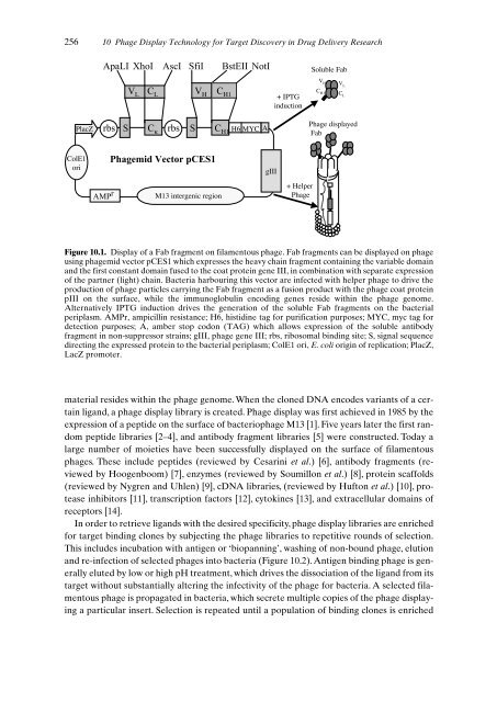 Drug Targeting Organ-Specific Strategies