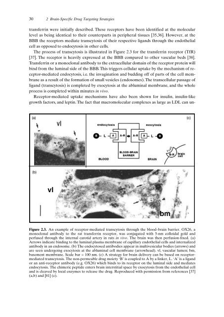 Drug Targeting Organ-Specific Strategies