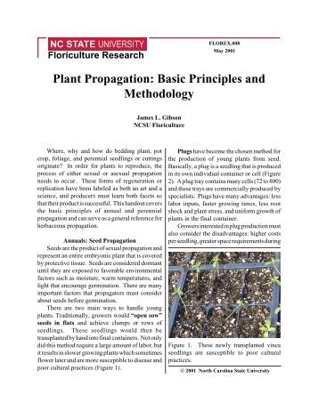 Plant Propagation: Basic Principles and Methodology