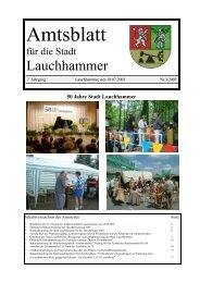 Amtsblatt 03/2003 - Stadt Lauchhammer
