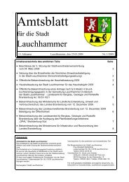 Amtsblatt 01/2009 - Stadt  Lauchhammer