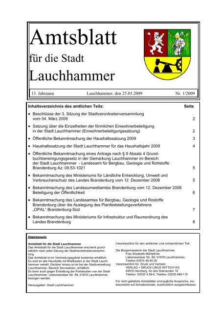 Amtsblatt 01/2009 - Stadt  Lauchhammer
