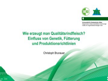 DI Christoph Brunauer - AMA-Marketing