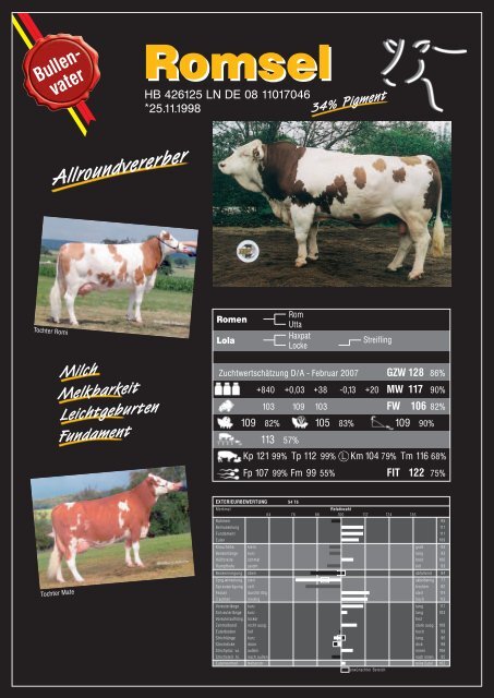 Bullenkatalog 2007 Fleckvieh - Rinderunion Baden-Württemberg e.V.