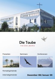 Die kleine Taube - Dezember 08/ Januar 09 - Die Taube