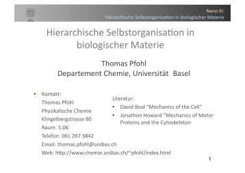 Hierarchische Selbstorganisaoon in biologischer Materie