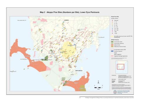 Strategic management of Aleppo Pines on Lower Eyre