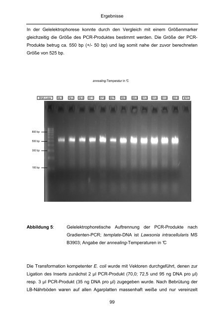 Quantitativer Nachweis von Lawsonia intracellularis mittels real-time ...