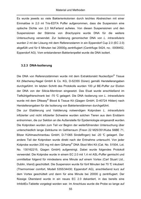 Quantitativer Nachweis von Lawsonia intracellularis mittels real-time ...