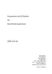 EU-Projektkompendium Teil VII - Bfi