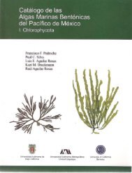 Catálogo de las algas marinas bentónicas del Pacífico ... - Algaebase