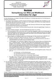 Merkblatt zur Vermarktung von Wild und Wildfleisch - Kreis PlÃ¶n