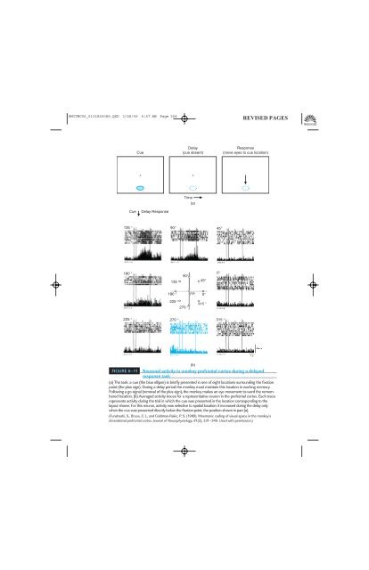 Working Memory - Psychology