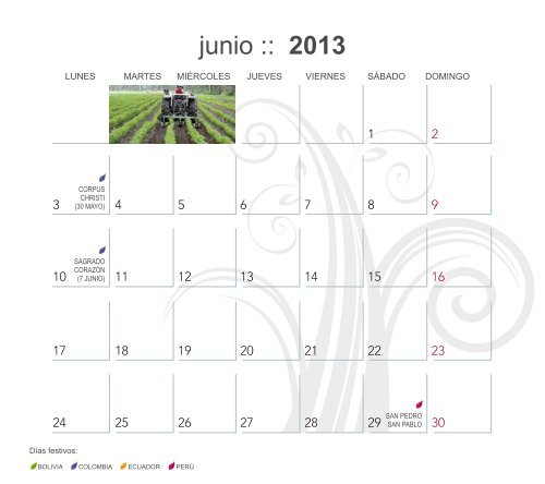 2013115184531Calendario%202013