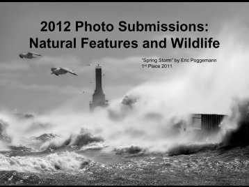 2012 Photo Submissions: Natural Features and Wildlife