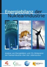 Energiebilanz der Nuklearindustrie - Österreichische Energieagentur