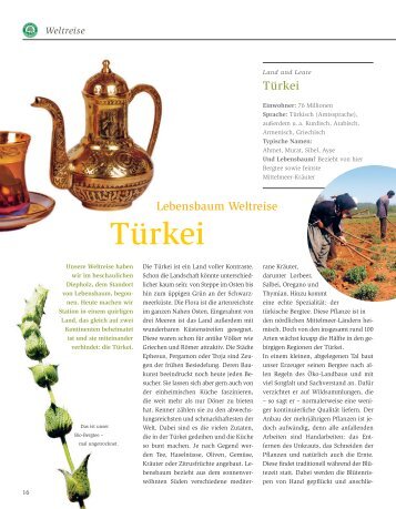 Türkei - Lebensbaum