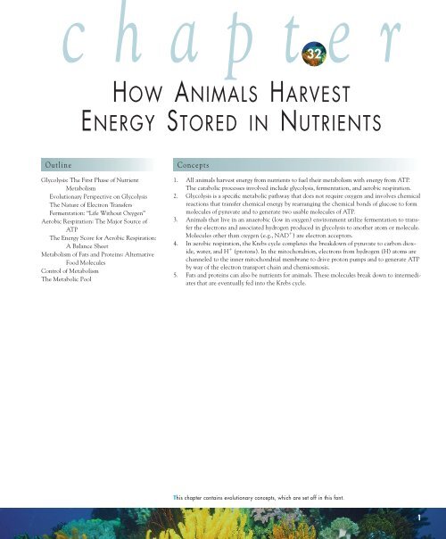 how animals harvest energy stored in nutrients The McGrawHill