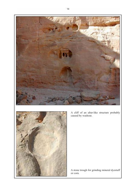 Rock Art of Timna Valley - StoneWatch