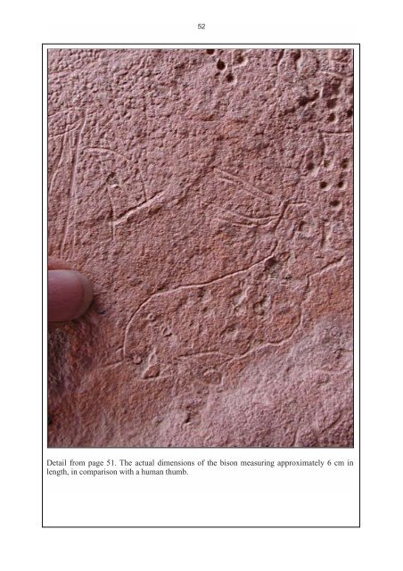 Rock Art of Timna Valley - StoneWatch