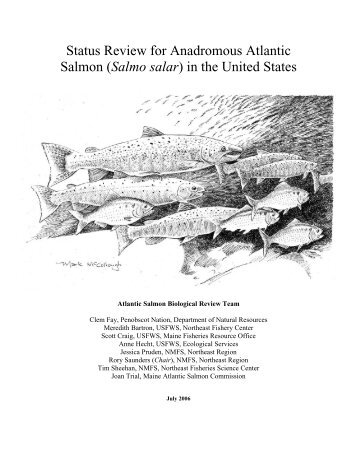 Status Review for Anadromous Atlantic Salmon - National Marine ...