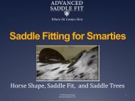 PowerPoint Presentation - Saddle Fitting for Smarties - Advanced ...