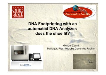 DNA Footprinting with an automated DNA Analyzer: does the shoe fit?