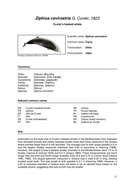 Cetaceans in Greece: Present status of knowledge