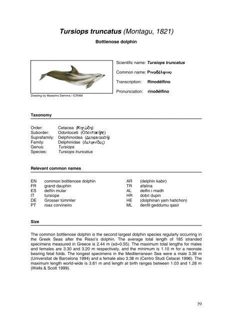 Cetaceans in Greece: Present status of knowledge