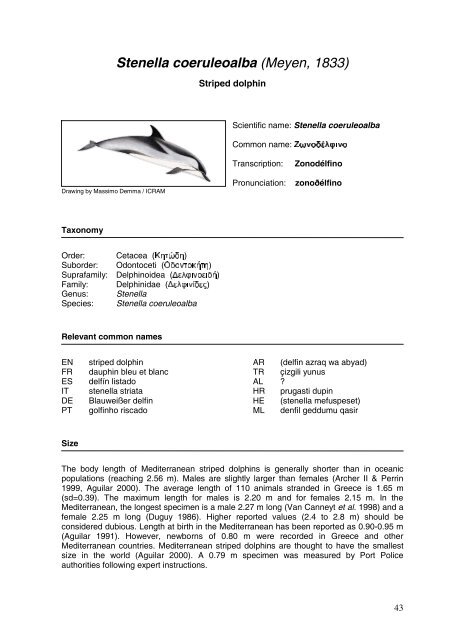 Cetaceans in Greece: Present status of knowledge