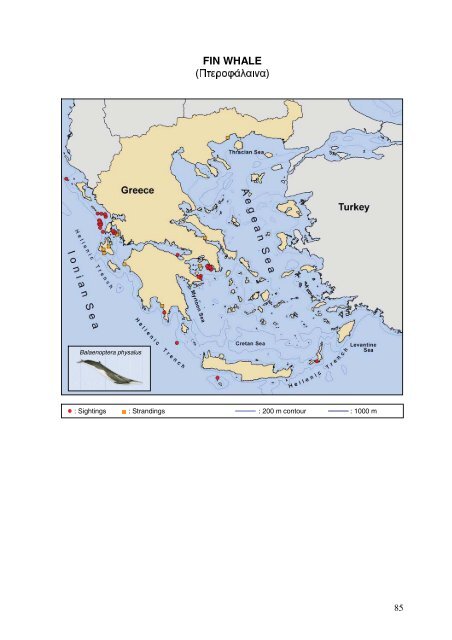 Cetaceans in Greece: Present status of knowledge